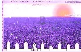 道奇蝰蛇找不同