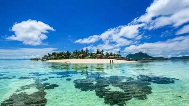 专注解答,美媒预测拜登获306张选举人票赢得大选全搜罗